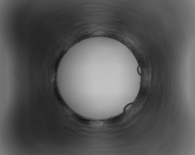 X0000098050230200803280736