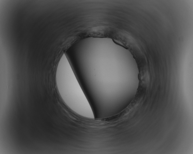 X0000098050231200803280736