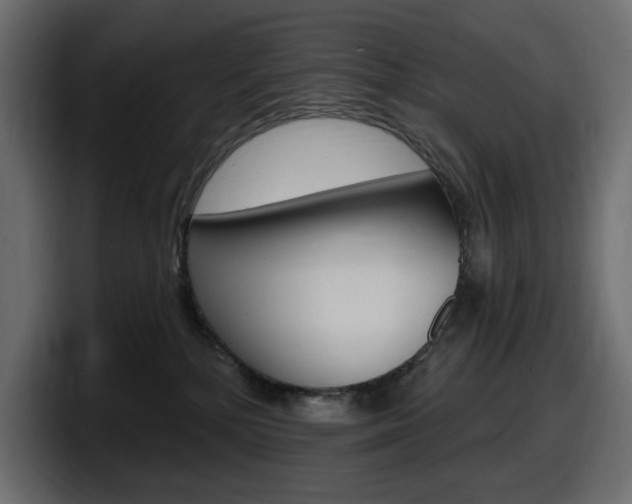 X0000098050232200803280736