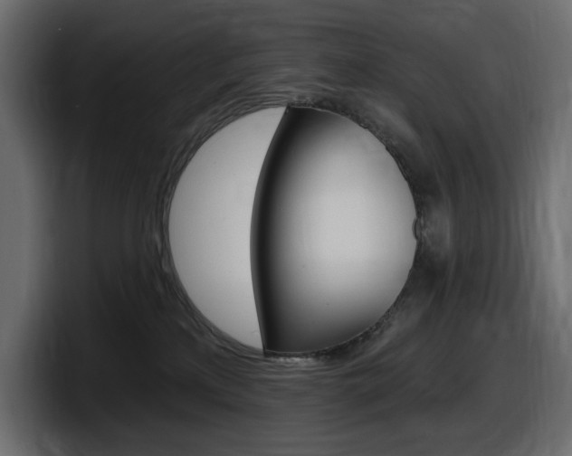 X0000098050233200803280736