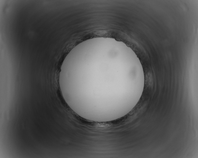 X0000098050234200803280736