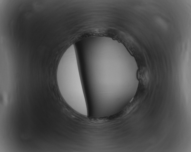 X0000098050235200803280736