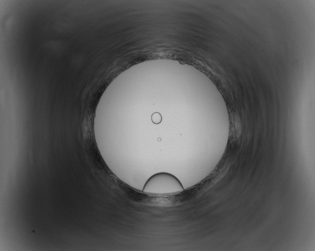 X0000098050236200803280736