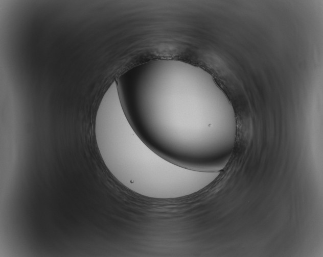 X0000098050237200803280736