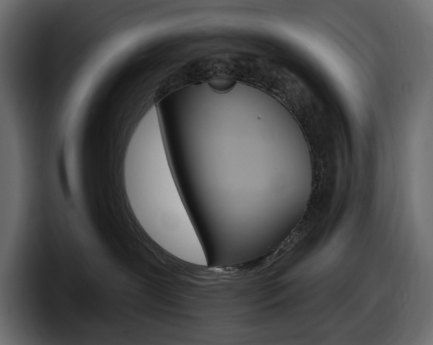 X0000098050239200803280736