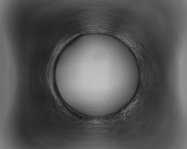 X0000098050241200803280736