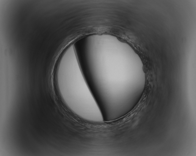 X0000098050242200803280736