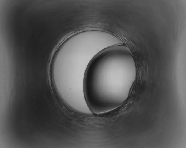 X0000098050244200803280736