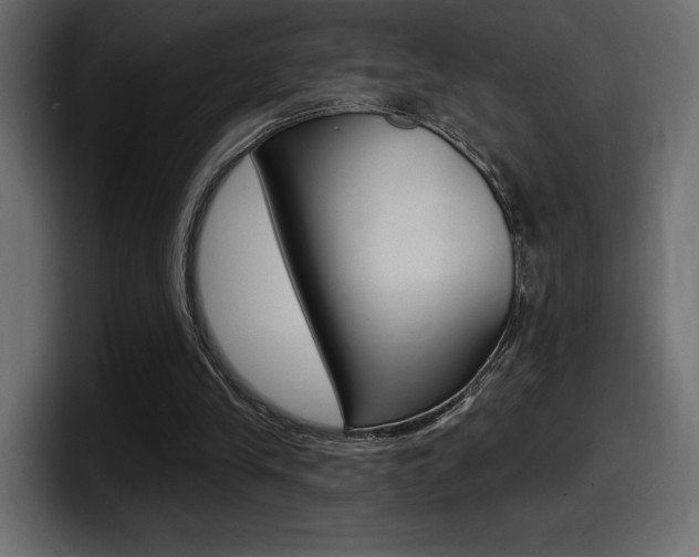 X0000098050245200803280736