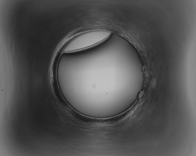 X0000098050246200803280736