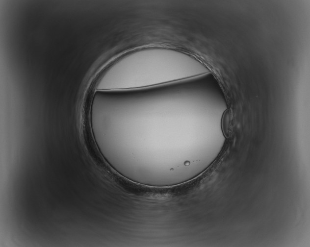 X0000098050247200803280736