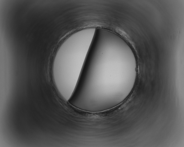 X0000098050249200803280736