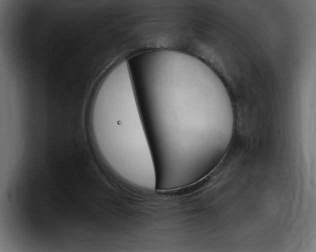 X0000098050251200803280736