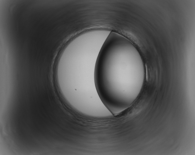 X0000098050252200803280736