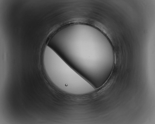 X0000098050253200803280736