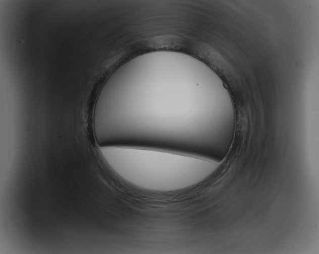 X0000098050255200803280736