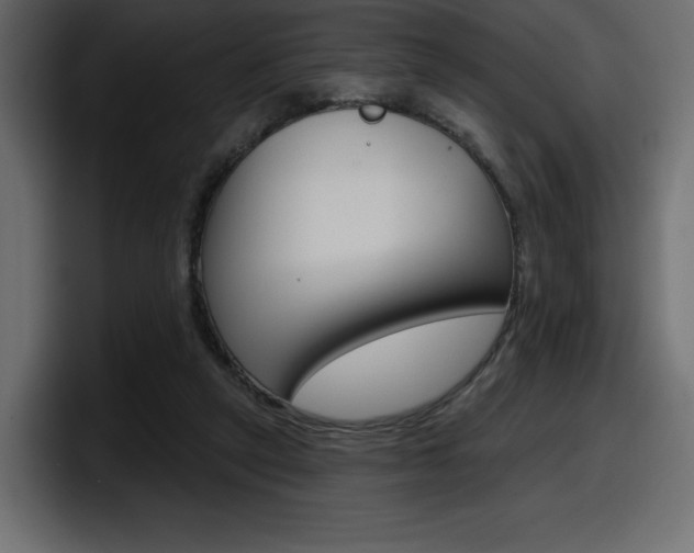 X0000098050257200803280736