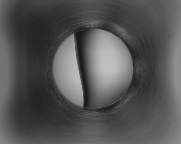 X0000098050258200803280736