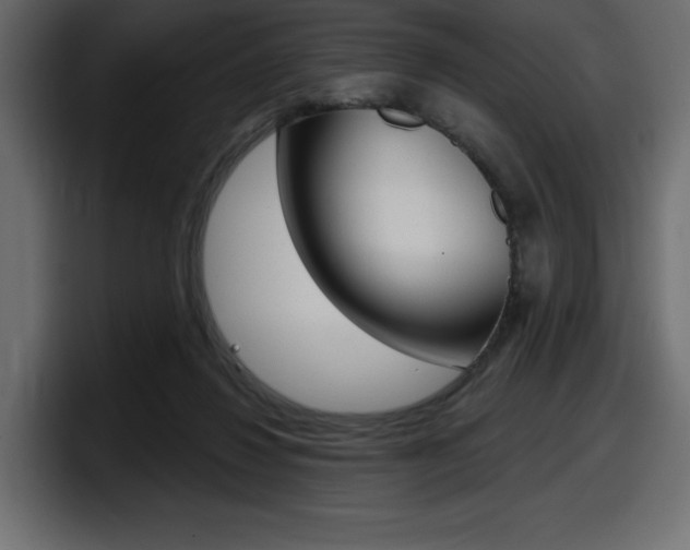 X0000098050260200803280736