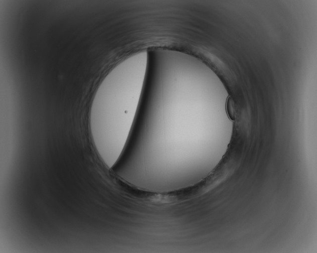 X0000098050261200803280736