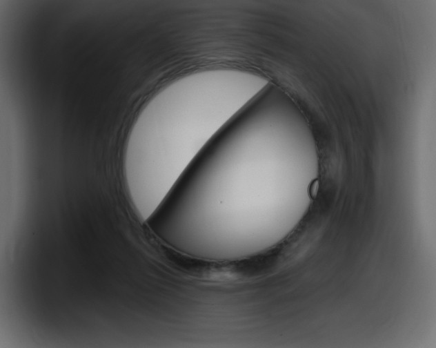X0000098050262200803280736