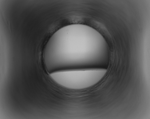 X0000098050263200803280736