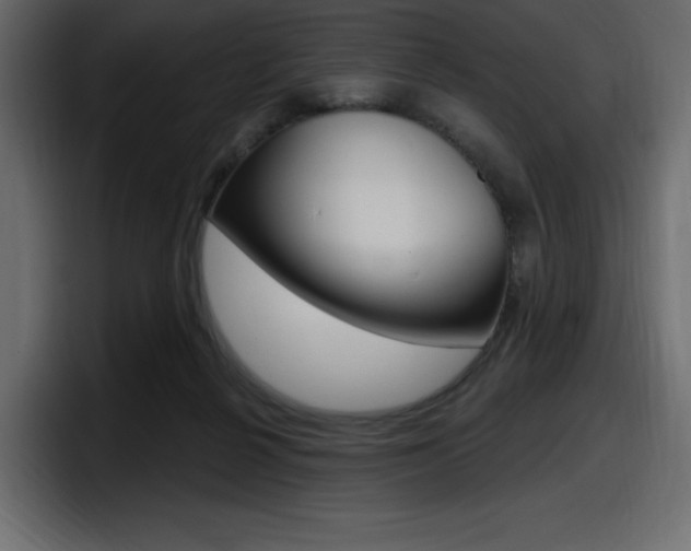 X0000098050264200803280736