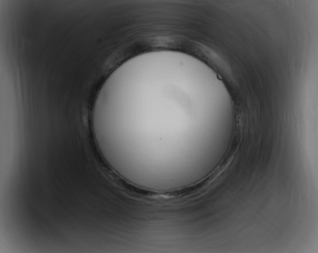 X0000098050265200803280736