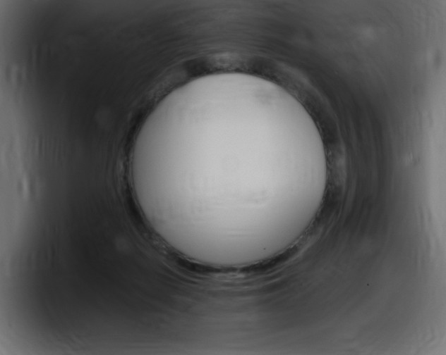 X0000098050266200803280736