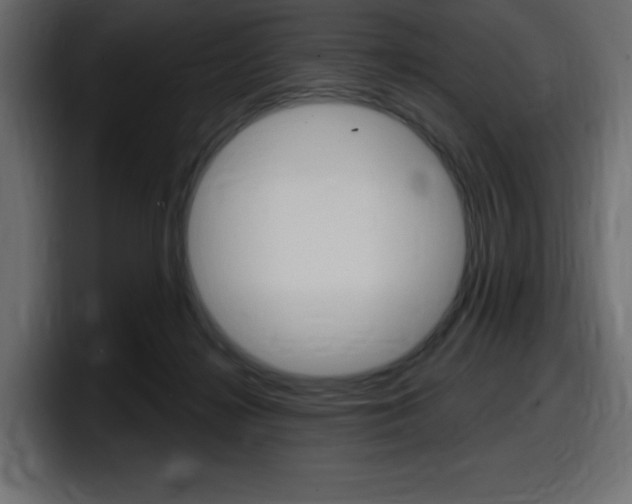 X0000098050268200803280736