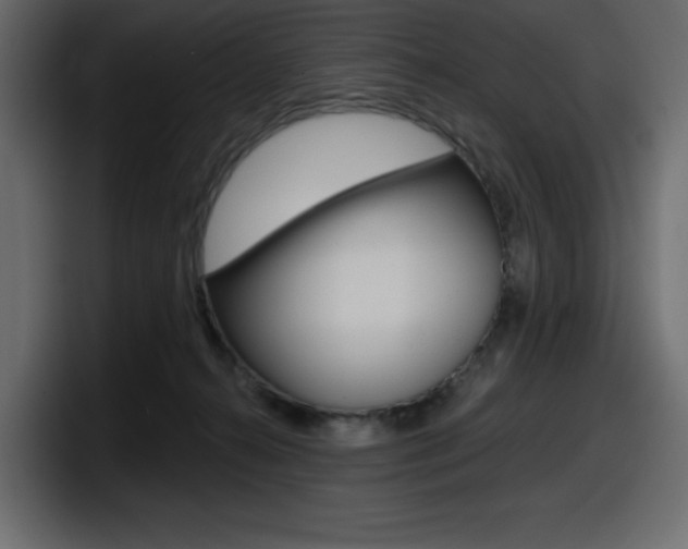 X0000098050272200803280736