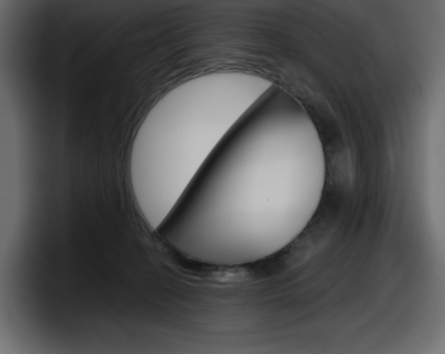 X0000098050274200803280736