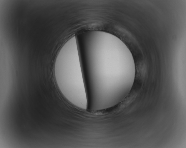 X0000098050278200803280736