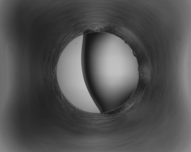 X0000098050280200803280736