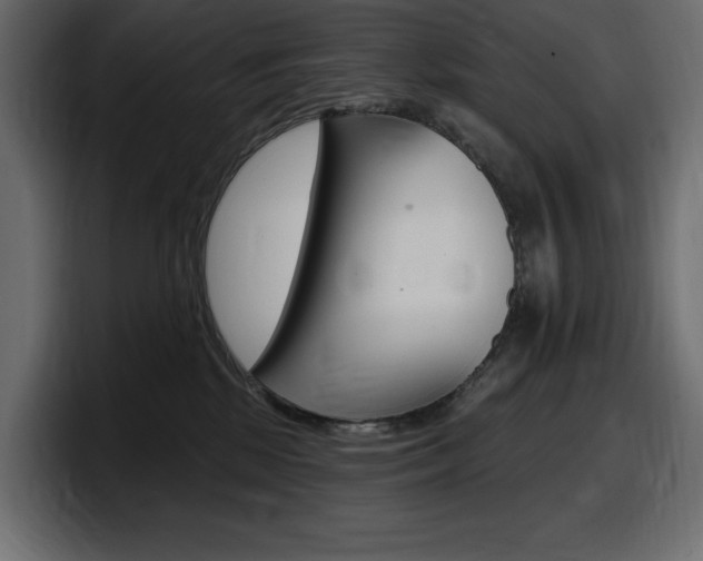 X0000098050281200803280736