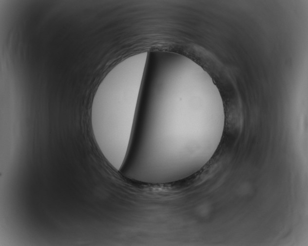 X0000098050282200803280736