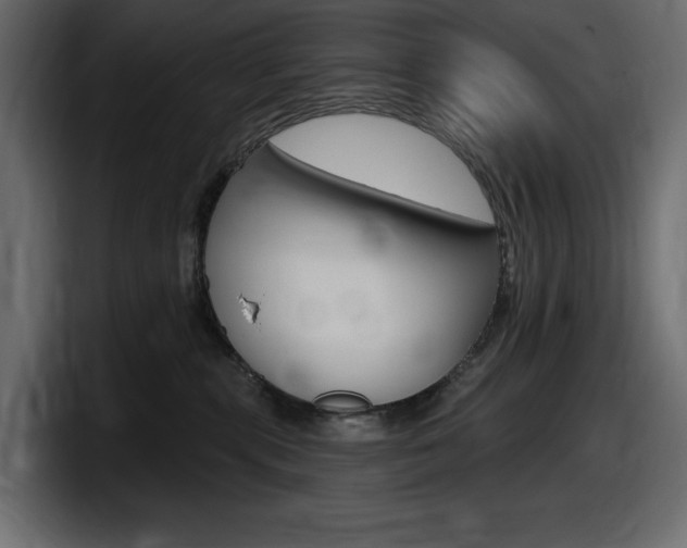 X0000098050283200803280736