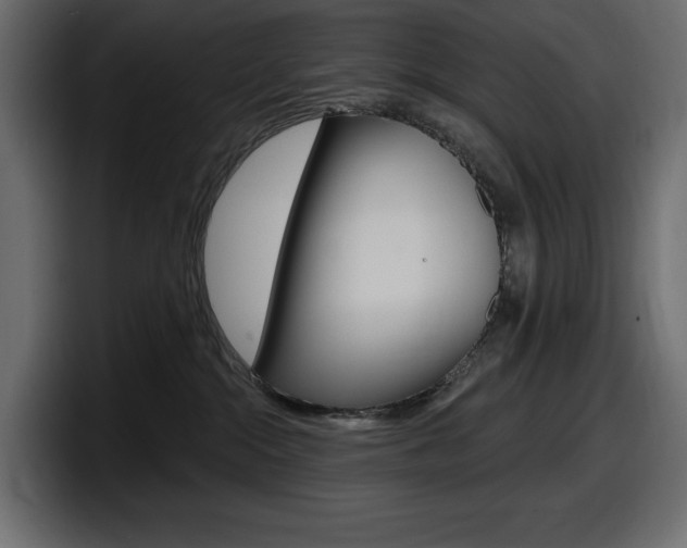X0000098050284200803280736
