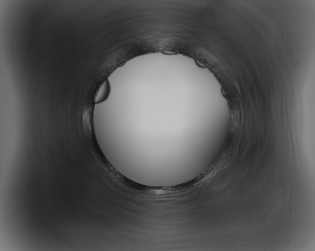 X0000098050286200803280736