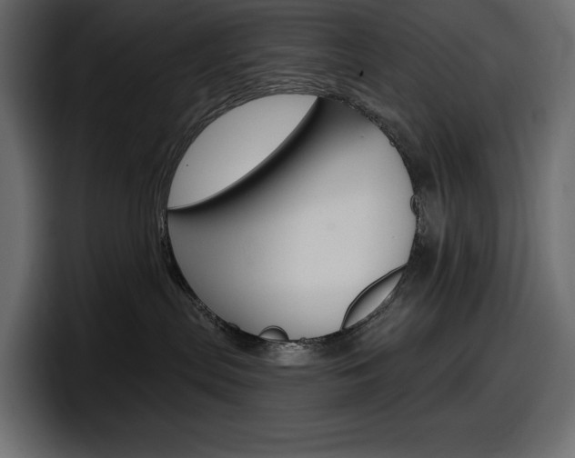 X0000098050287200803280736