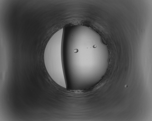 X0000098050288200803280736