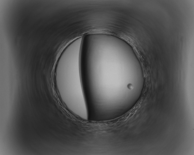X0000098050289200803280736