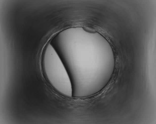 X0000098050290200803280736