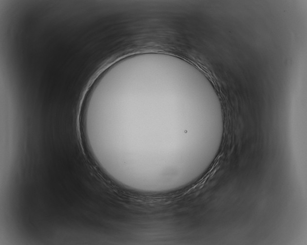 X0000098050292200803280736