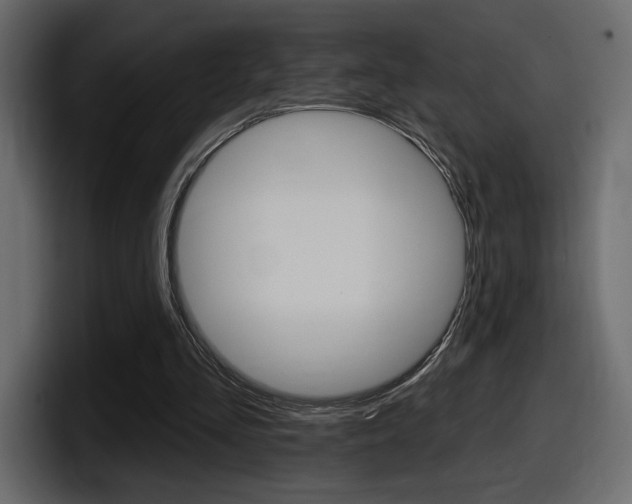 X0000098050293200803280736