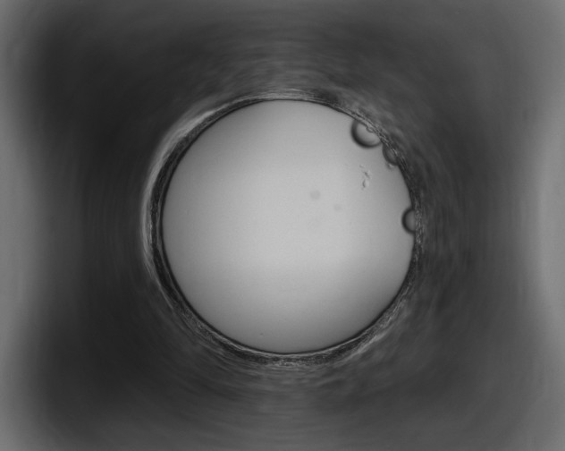 X0000098050294200803280736