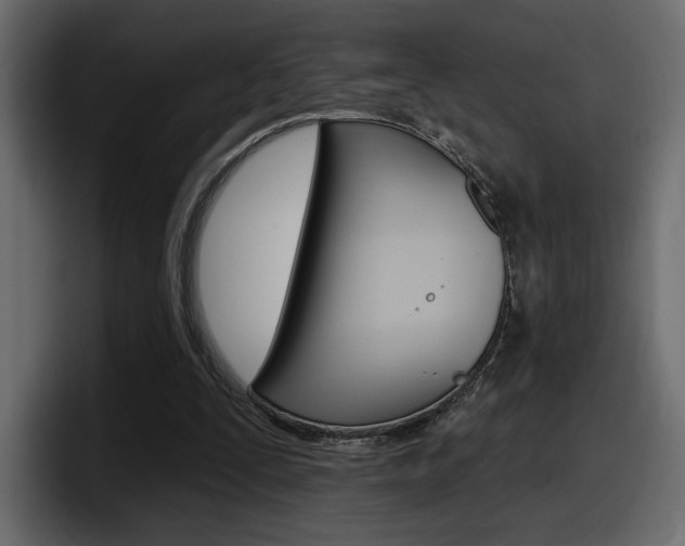 X0000098050295200803280736