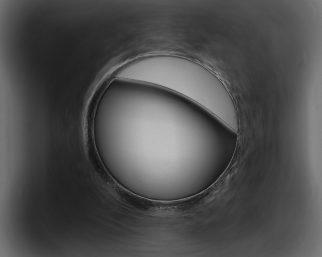 X0000098050296200803280736