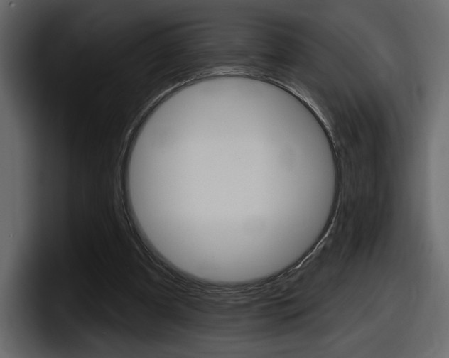 X0000098050297200803280736