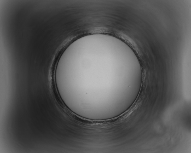 X0000098050298200803280736